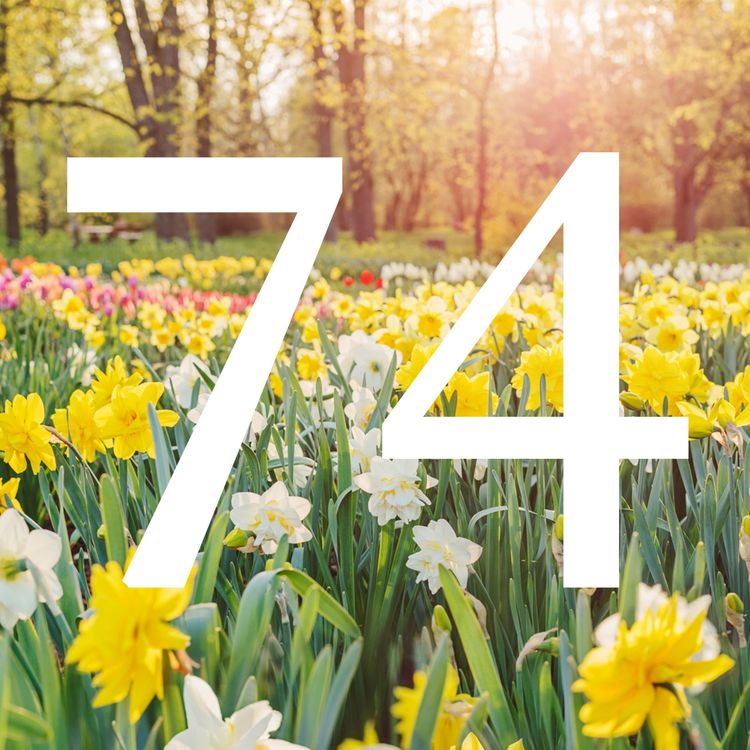 cover art for 74 Spring is in the Air