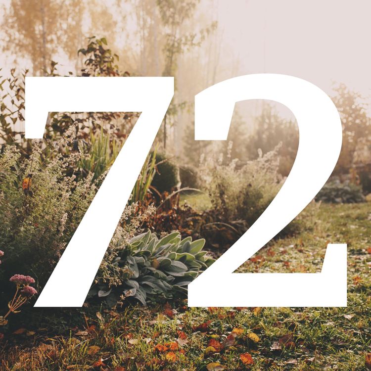 cover art for 72 Jobs for January