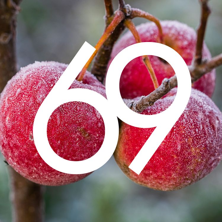 cover art for 69 Winter Workout