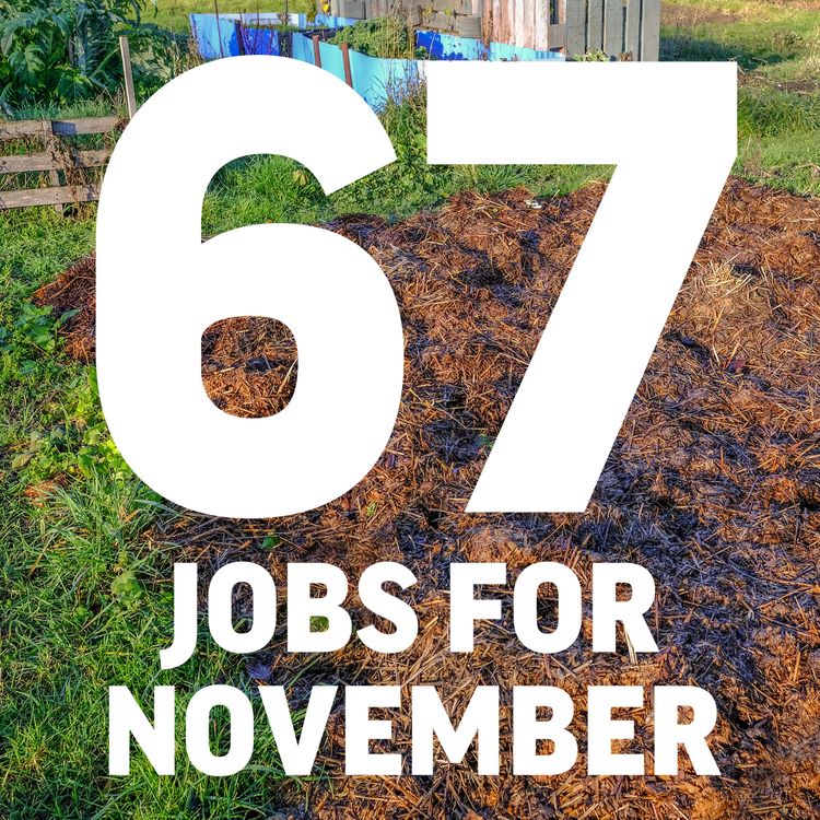 cover art for Jobs to do in November