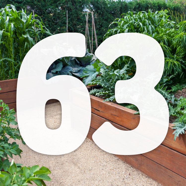 cover art for 63 Growing with raised beds