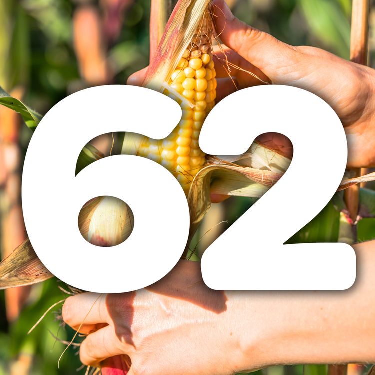 cover art for Veg at a glance - Sweetcorn