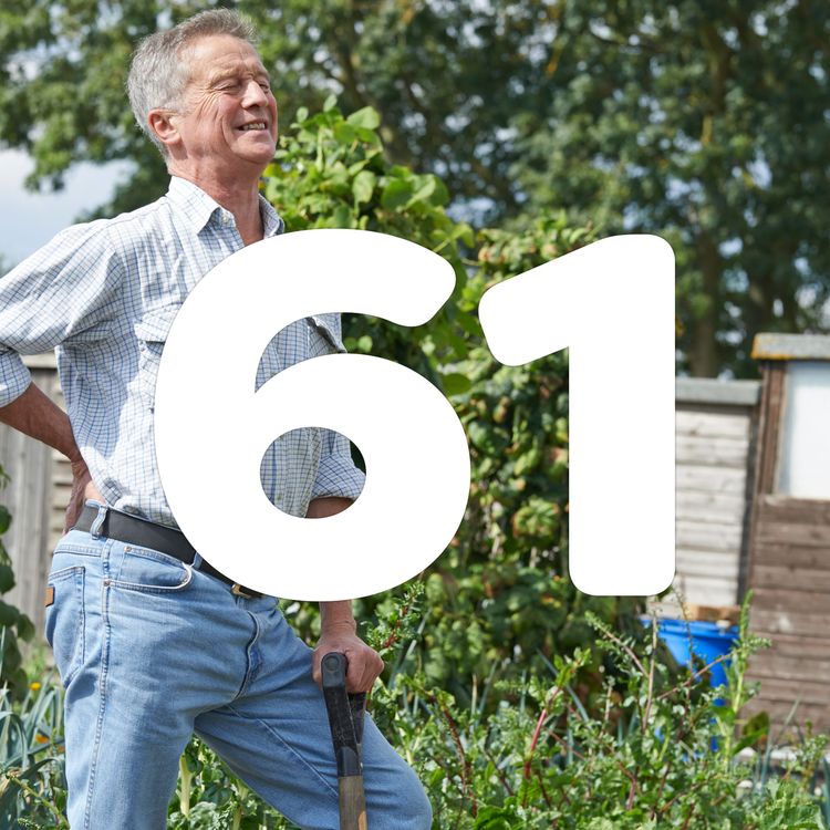 cover art for 61 Digging without back ache