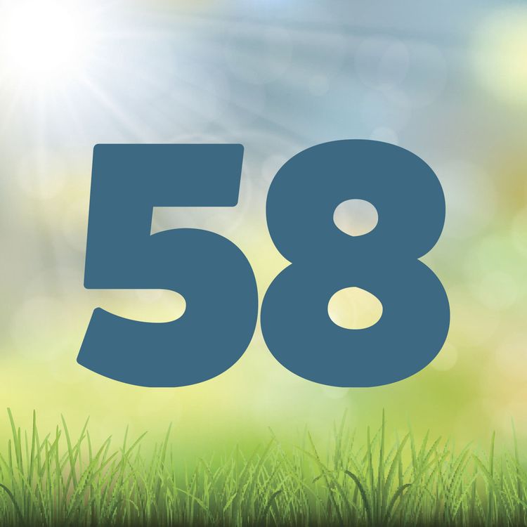 cover art for 58 Gardening in the summer months