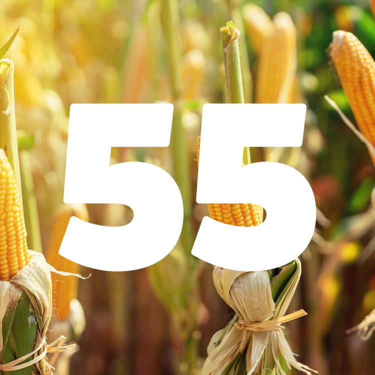 cover art for 55 Plugging the gap