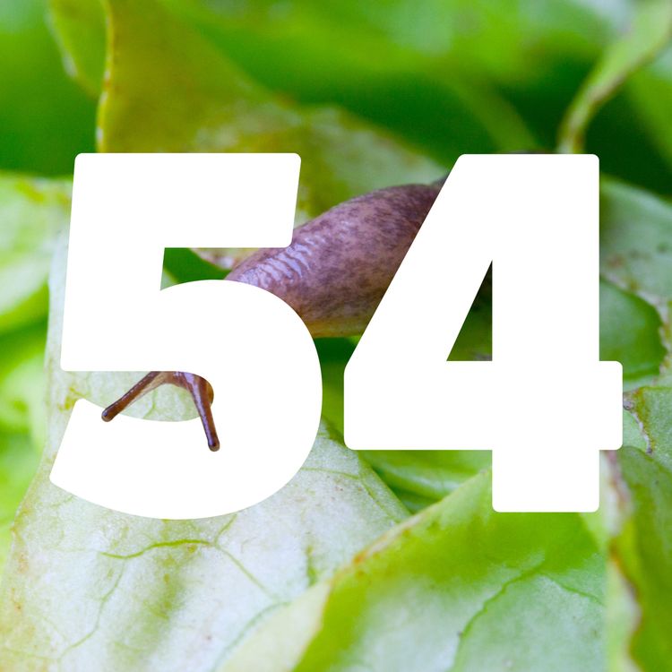 cover art for 54 Alternatives to slug pellets
