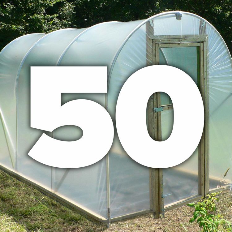 cover art for 050 Everything you need to know about polytunnels