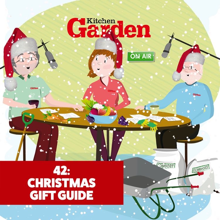 cover art for 042 Christmas Gift Guide