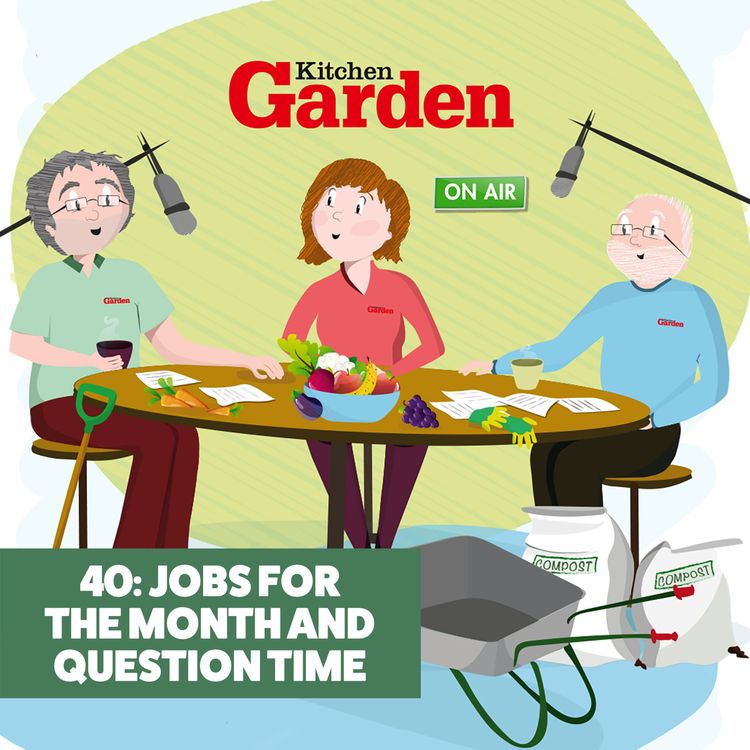 cover art for 040 Jobs for October and question time