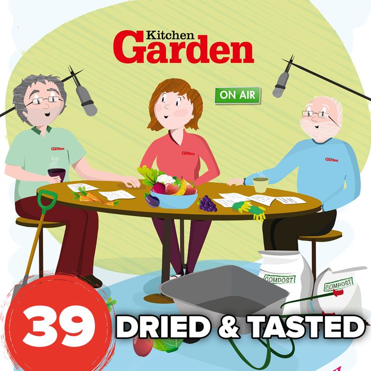 cover art for 039 Dried and tasted