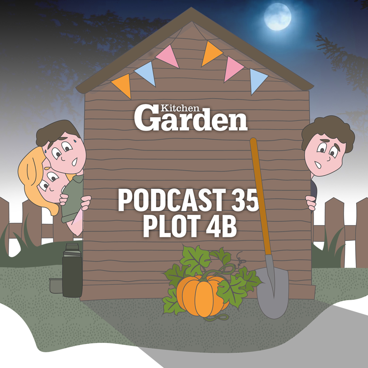 cover art for 035 Storytime with Kitchen Garden: Plot 4B