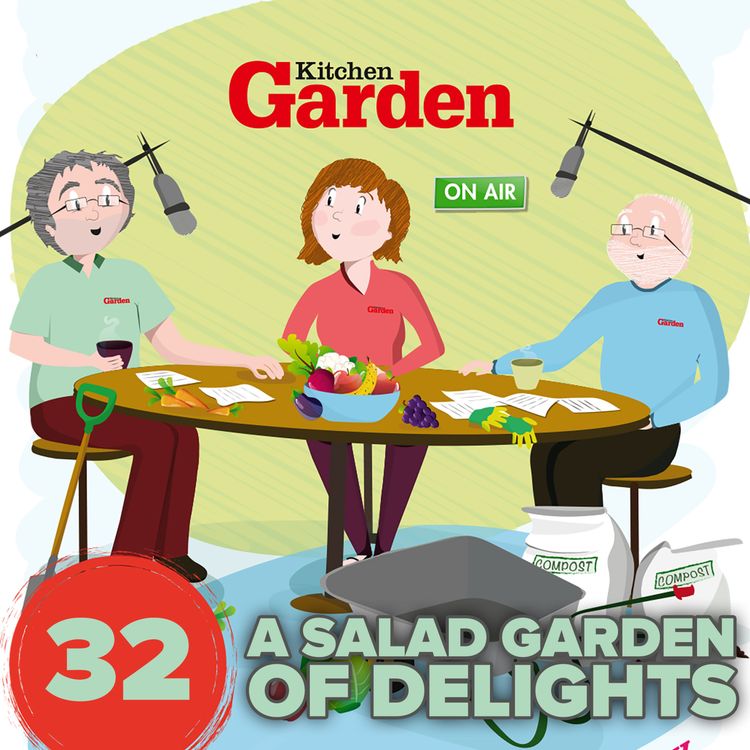 cover art for 032 A salad of garden delights