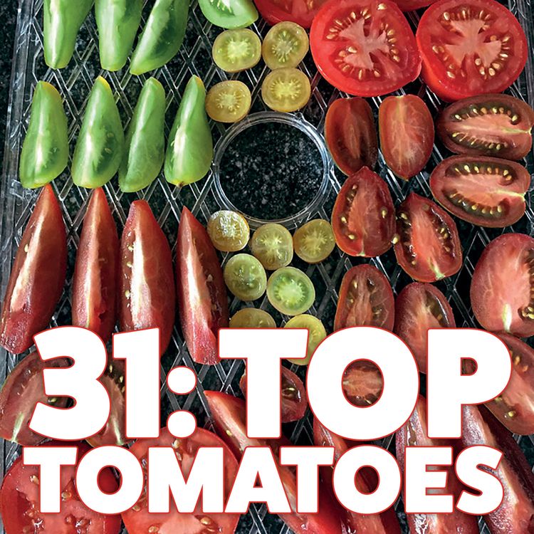 cover art for 031 Top tomatoes