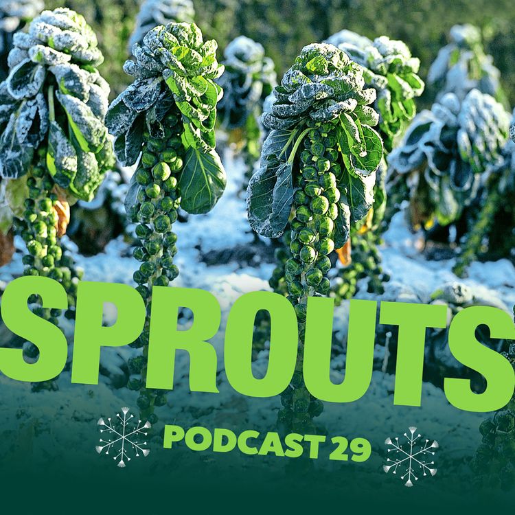 cover art for 029 Sprouts - Not just for Christmas