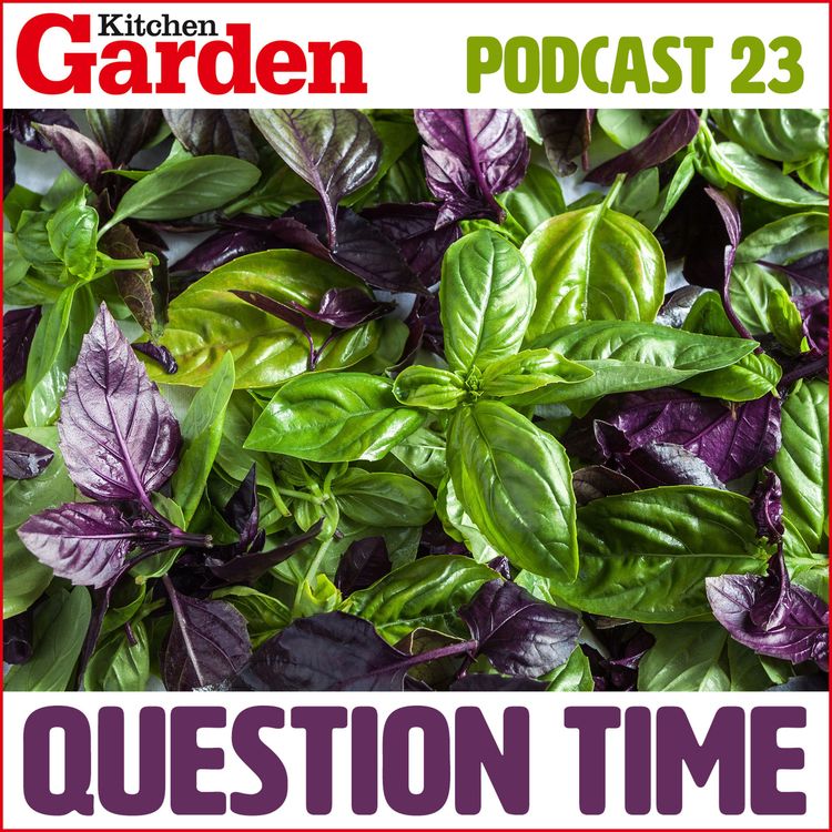 cover art for 023 Question Time