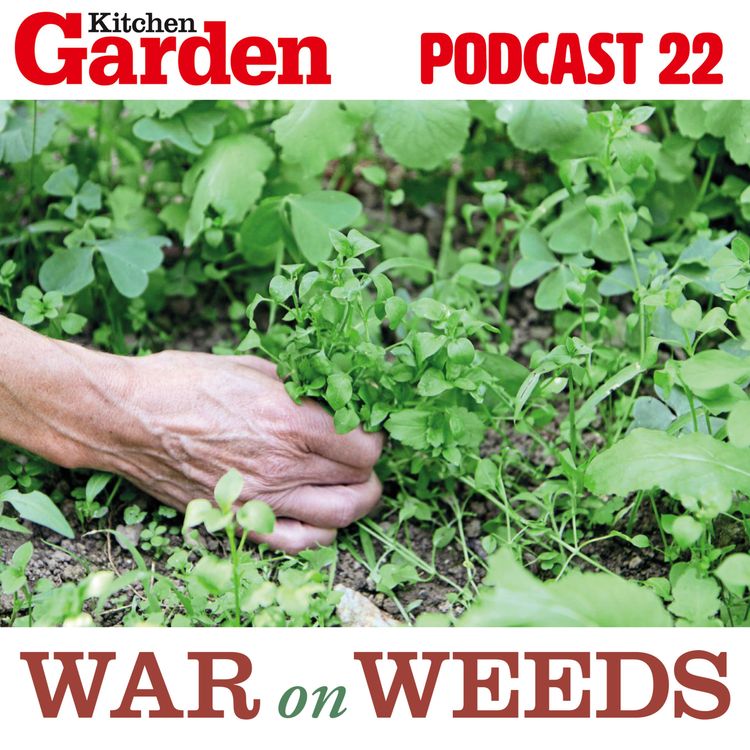 cover art for 022 War on weeds