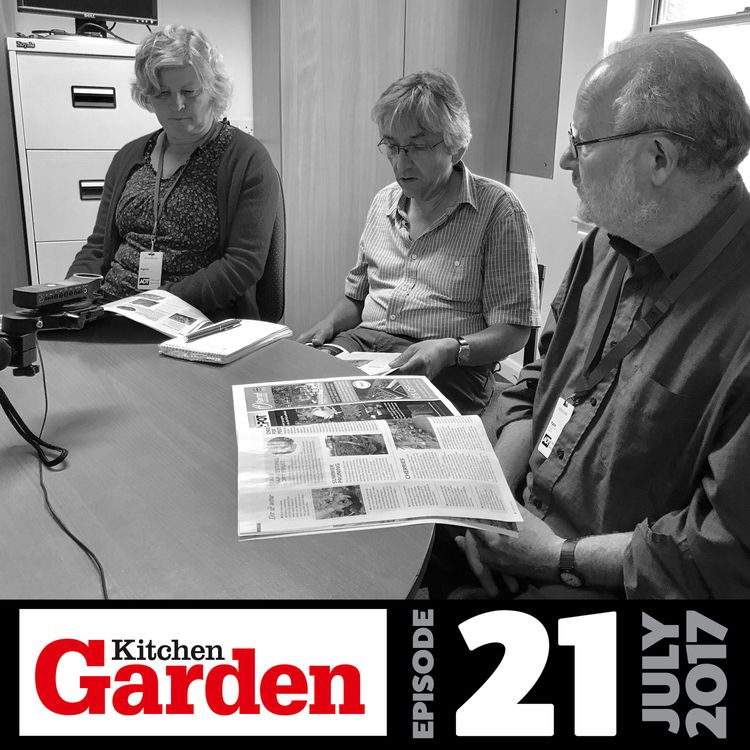 cover art for 021 The KG team look at the July issue