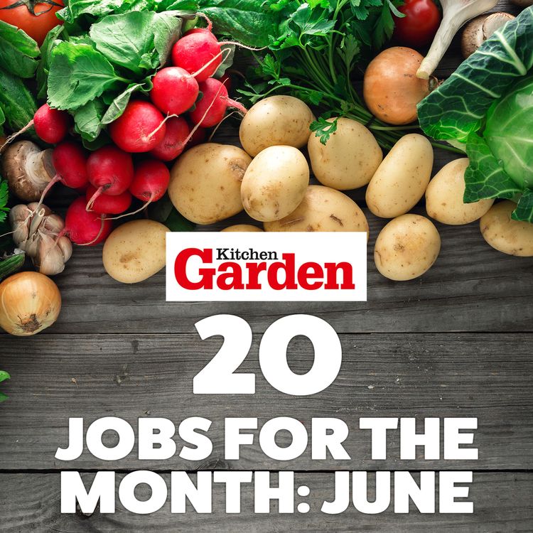cover art for 020 Jobs for the month - June