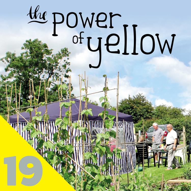 cover art for 019 The power of yellow