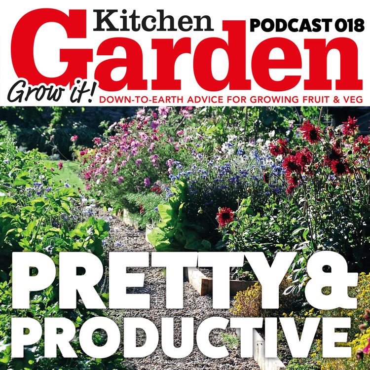 cover art for 018 Pretty and productive