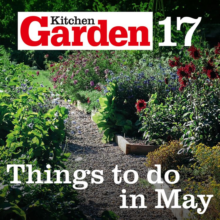 cover art for 017 Things to do in May