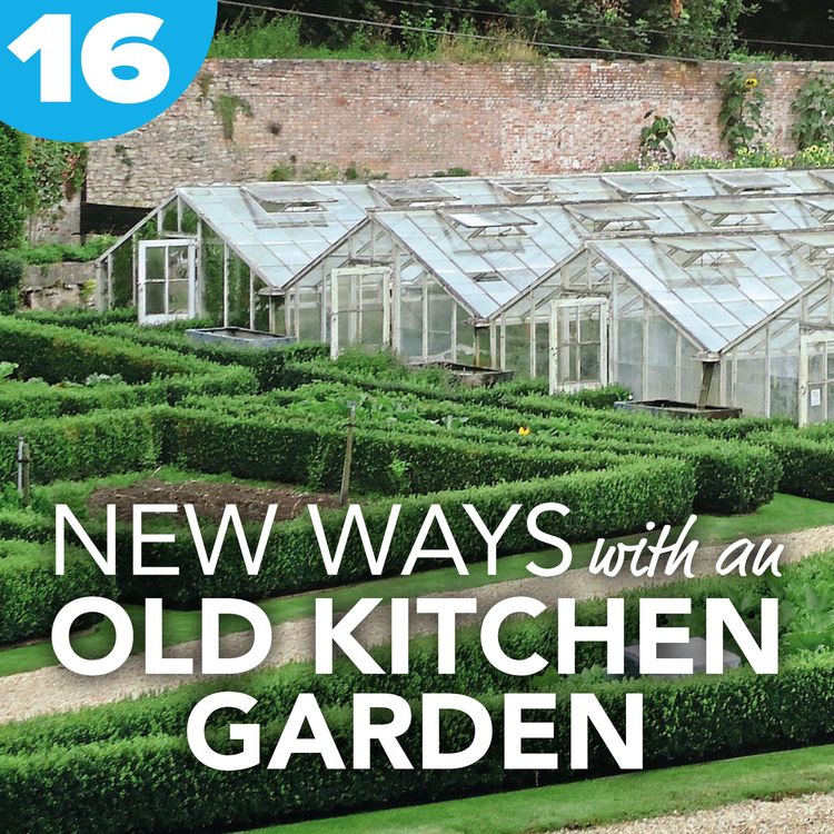 cover art for 016 New ways with an old Kitchen Garden