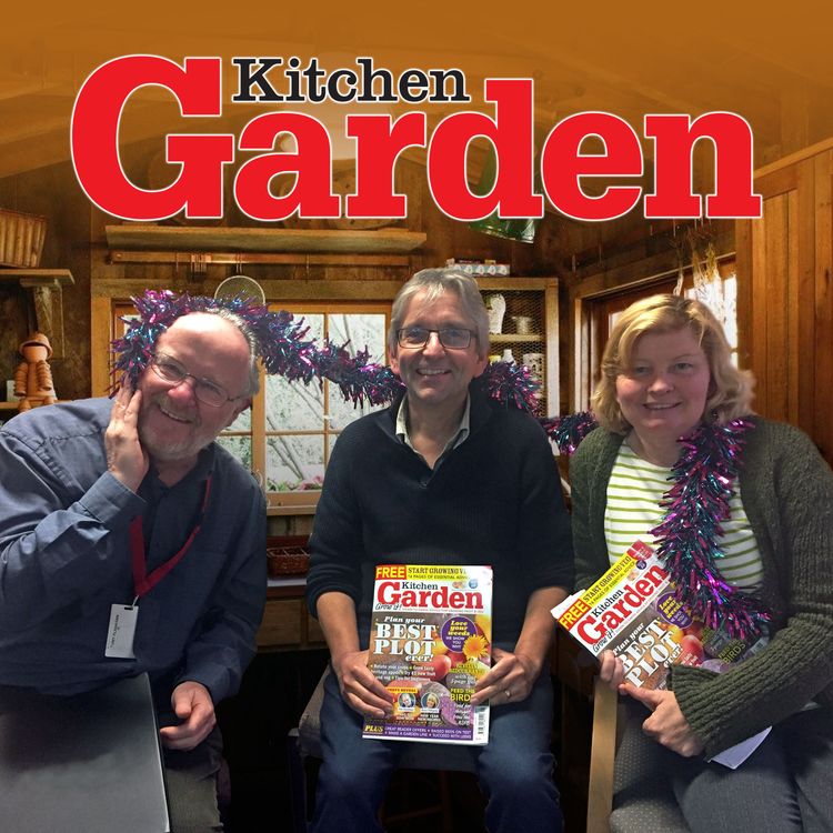 cover art for 012 Merry Christmas from the KG team
