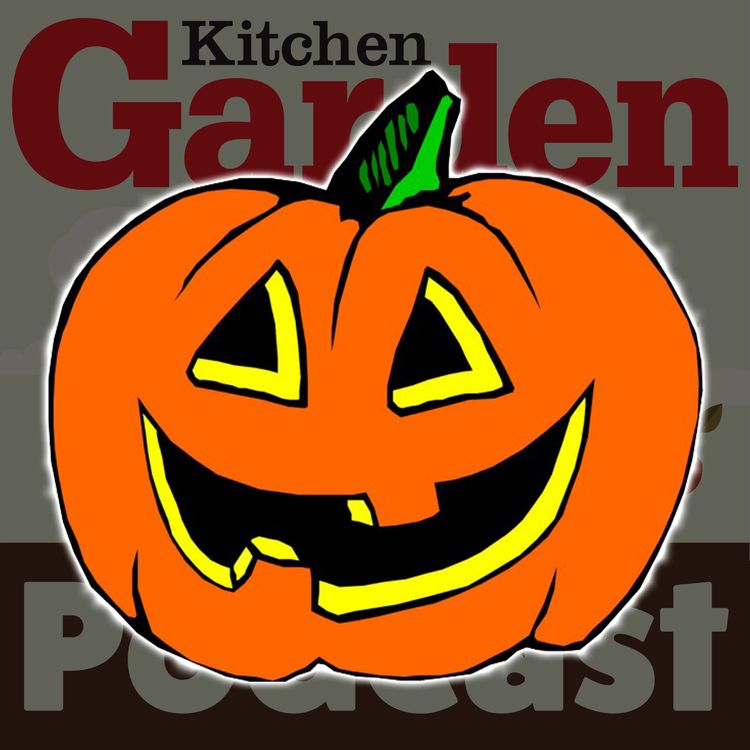 cover art for 009 Halloween special - All about Pumkins