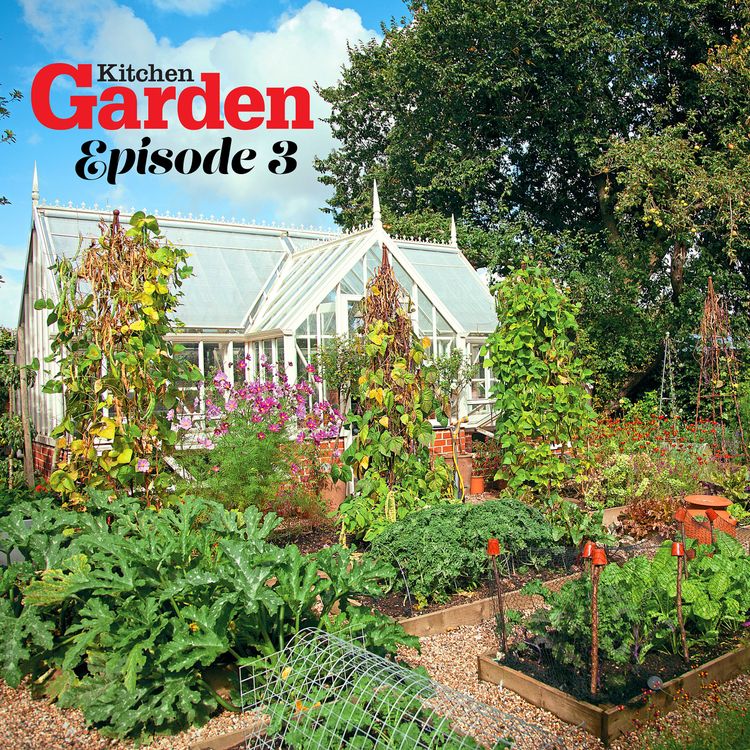 cover art for 003 A kitchen garden with style and substance
