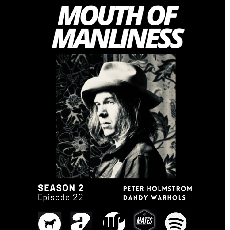 cover art for Peter Holmstrom Dandy Warhols