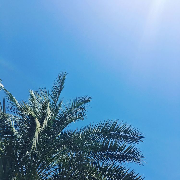 cover art for one for the road: episode twenty-eight