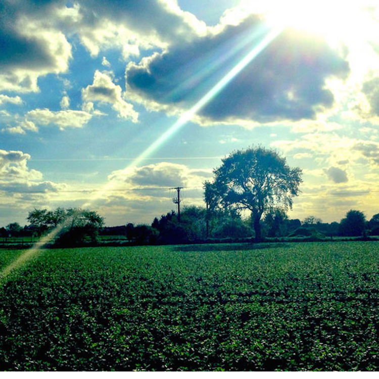 cover art for DTD: 370 - Susan talks to the press and Peggy's thoughts on Tony