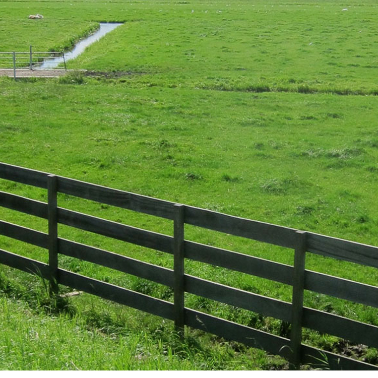 cover art for DTD: 369 - A Ménage à abattoir - Who are Ambridge's swingers?