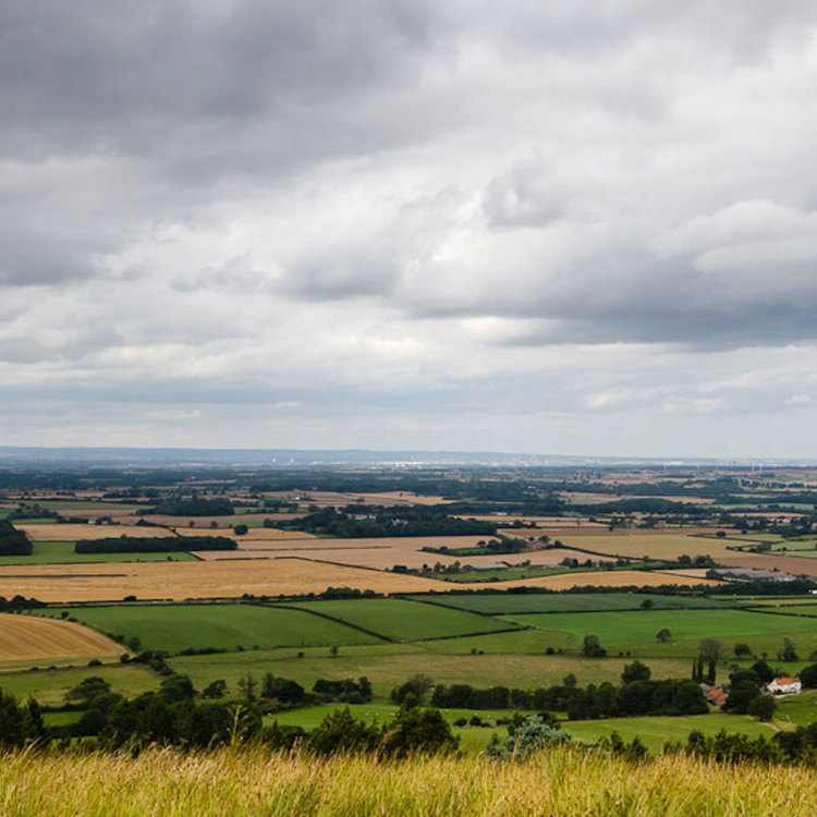 cover art for DTD: 298 - Joe Grundy passes