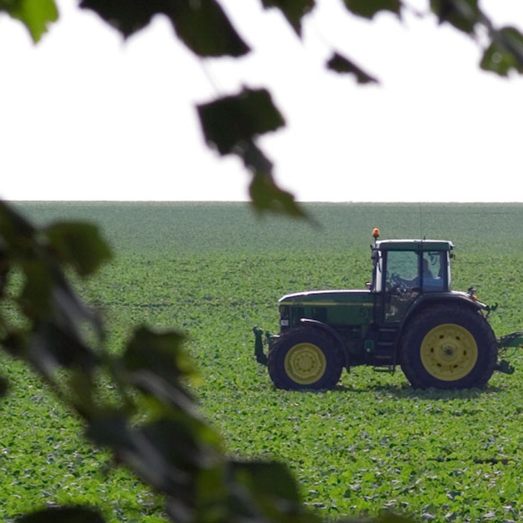 cover art for DTD: 263 - Boring gays, Roifield and New York Nigel get into a tussle