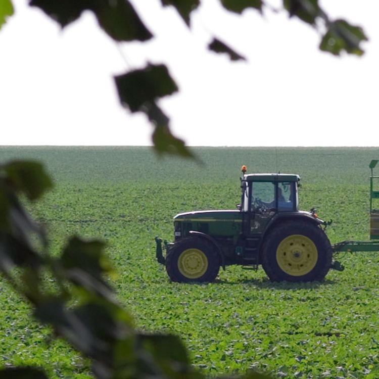 cover art for Ep: 252 Roy and Lexi are done and other Ambrigde goings on