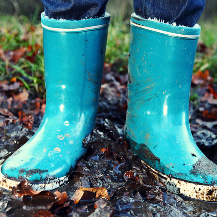 cover art for DTD: 241 - Henry Archer guns, karate and community police officers