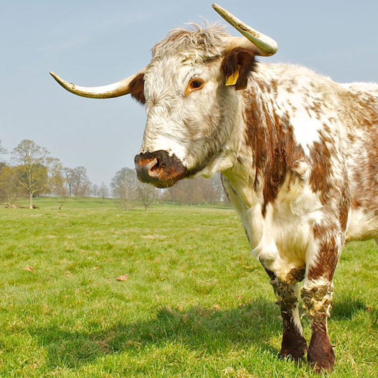 cover art for DTD 226: How low can the Aldridge's sink?