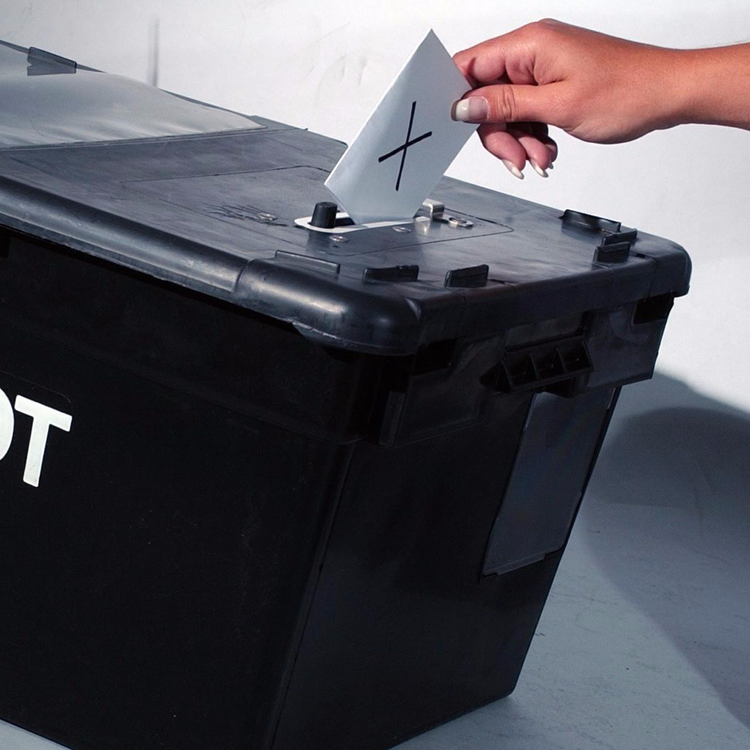 cover art for DTD: 199 - Aunty Chris gets scammed and Emma's is strong and stable at the polls