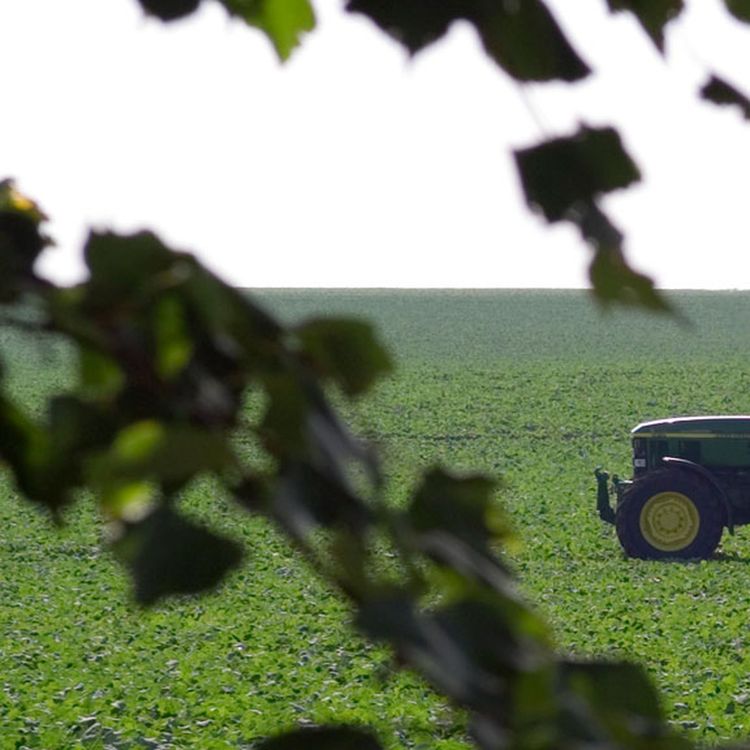 cover art for DTD: 183 - Kefir and a drunk Alice