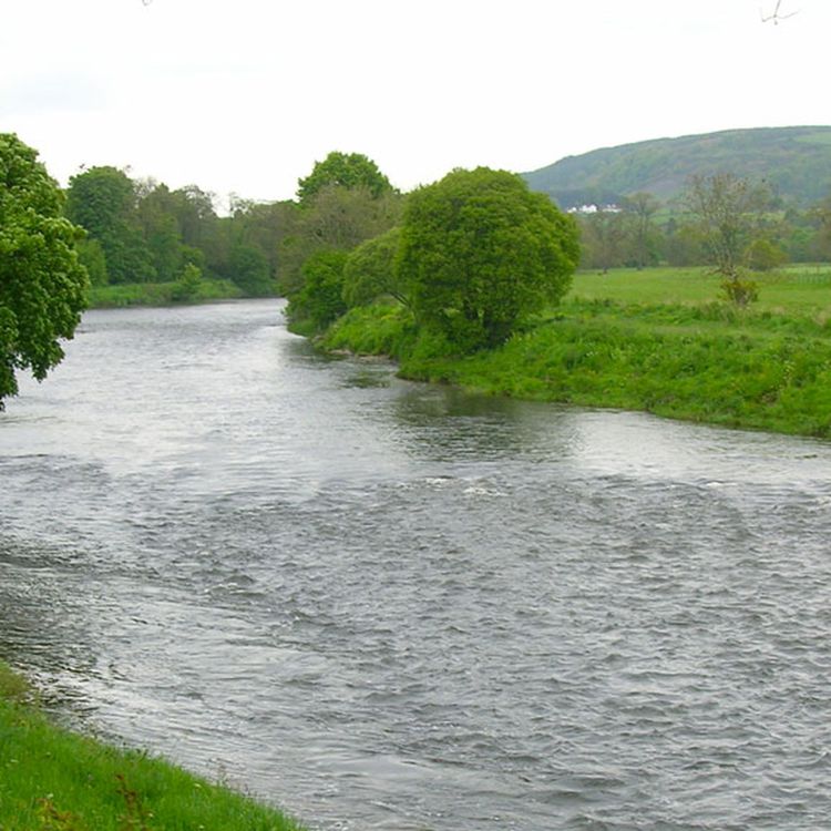 cover art for DTD: 174 - Jill and Kirsty do bees and Tom gets a spanking from Justin