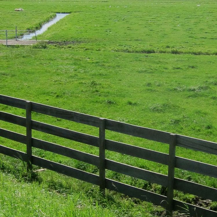 cover art for DTD: 173 - Johnny and Freddie do the Isle of Wight