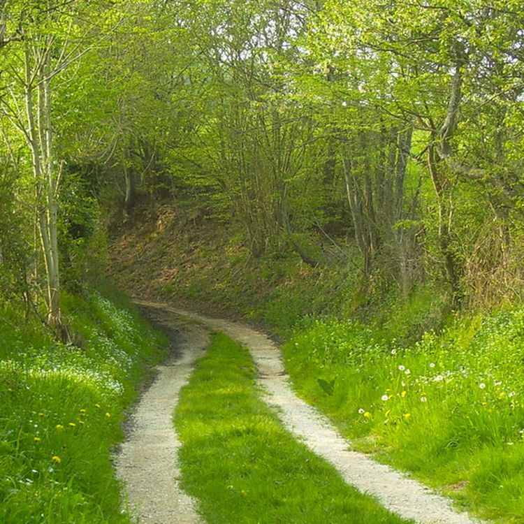 cover art for DTD-139 Hacks, Fairbrothers and such goings on