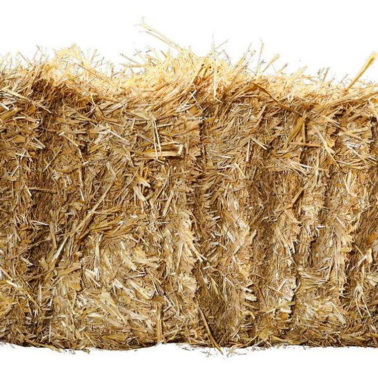 cover art for Dum Tee Dum Episode 85 – Andrew Horn takes the Helm