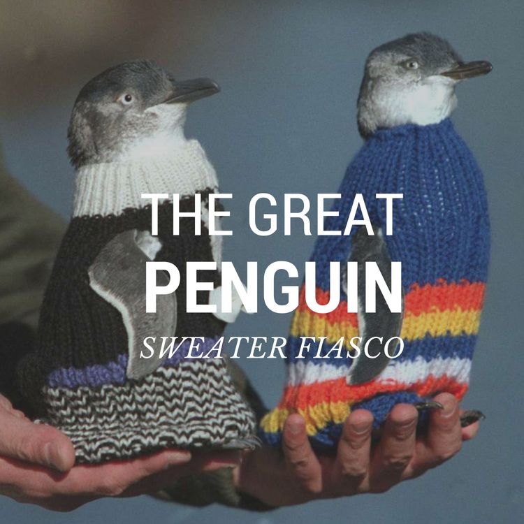 cover art for Episode 1 - The Great Penguin Sweater Fiasco