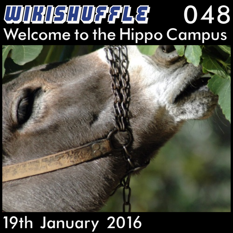 cover art for 048 - Welcome to the Hippo Campus