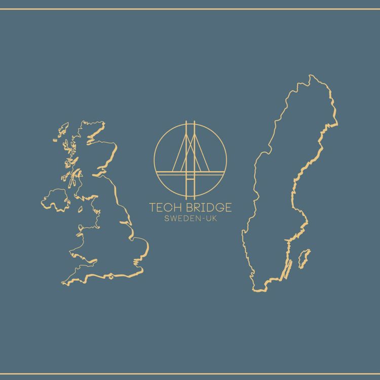 cover art for Startup growth in Sweden & the UK