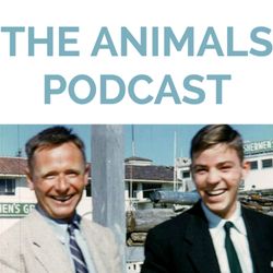 cover art for The Animals Podcast