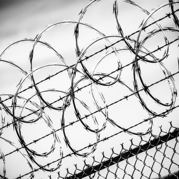 cover art for #2 – Harvey’s hidden sentence