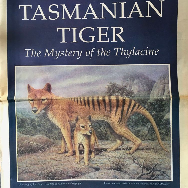 cover art for On the Trail of the Thylacine